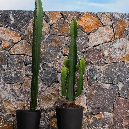 Kaktus Private Pool Aparthotel