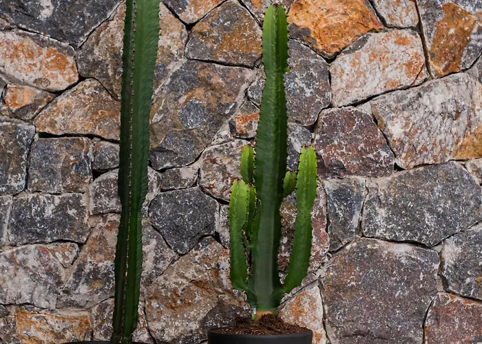 Kaktus Private Pool Hotel de apartamente